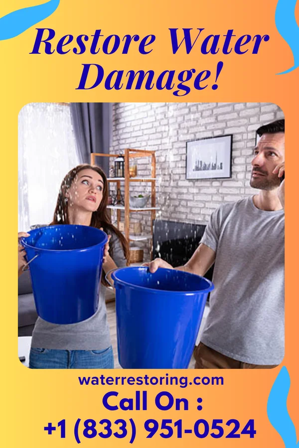 water restoration Trusted Recovery Professionals Tullytown