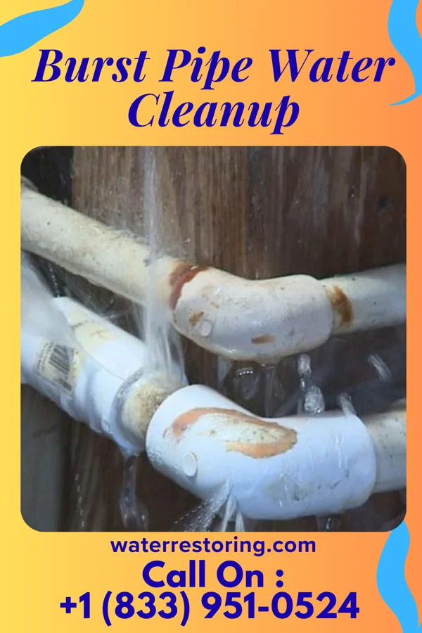 Burst Pipe Water Cleanup in Tullytown, PA