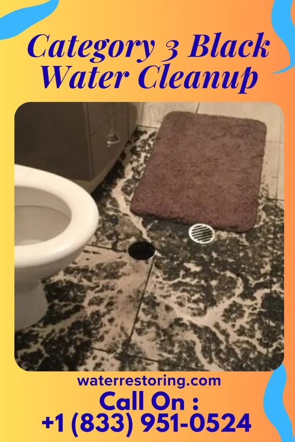 Category 3 Black Water Cleanup in Tullytown, PA