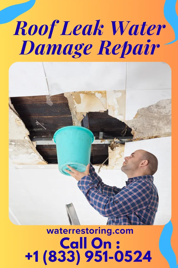 Roof Leak Water Damage Repair in Tullytown, PA