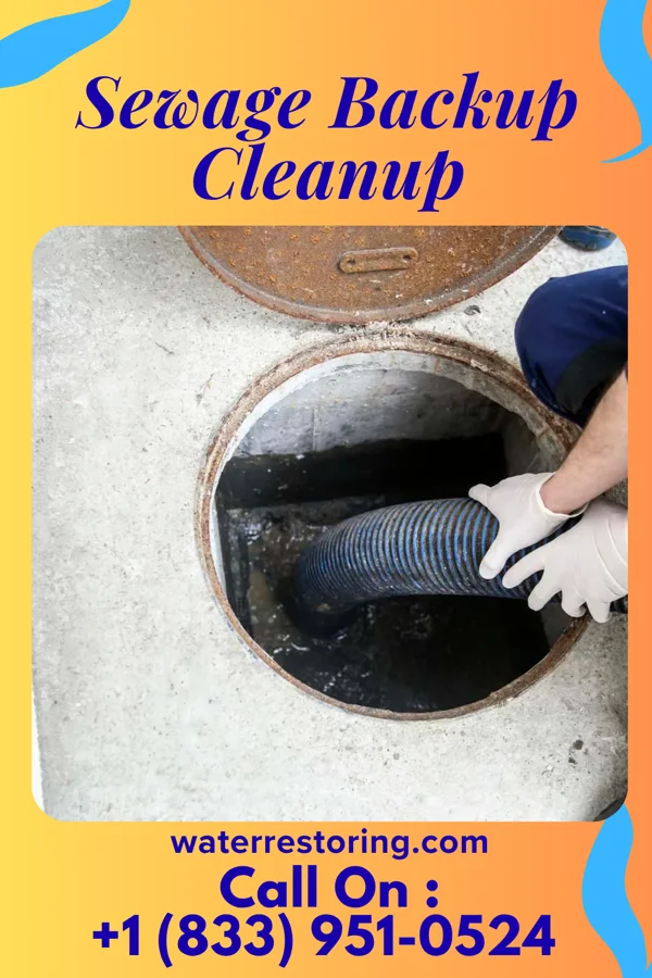 Sewage Backup Cleanup in Tullytown, PA