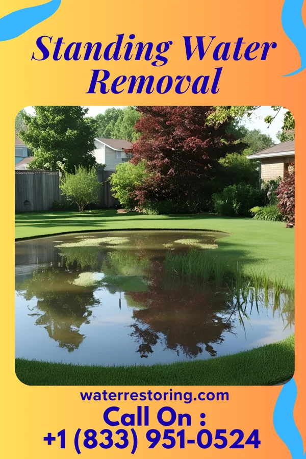 Standing Water Removal in Tullytown, PA